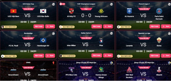 Xem trực tiếp bóng đá Hoadao TV có gì nổi bật?